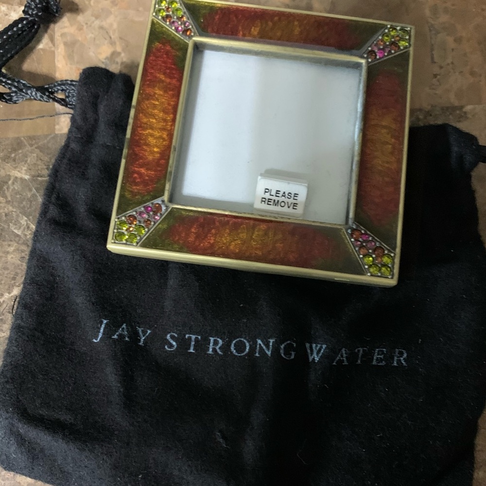 Jay Strongwater picture frame